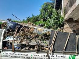 Shed Removal in Pawnee, IL