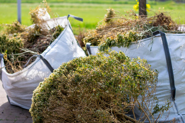 Best Moving and Downsizing Cleanouts  in Pawnee, IL